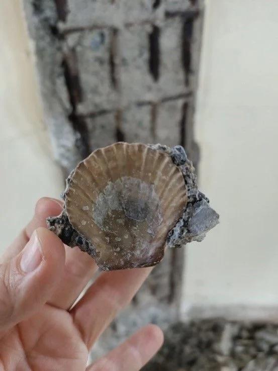 Fotoraflarda, kulenin klah ksmnda balaycln kaybetmi imento ve korozyona uram demirler, bayrak direindeki tahribat, deme ve kolonlarnda deniz kumunun kullanld ve midye kabuu, ky betonlarndaki hasar ve ayrmalar grlyor.