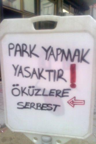 Okuyanlar kahkahaya boan yazlar