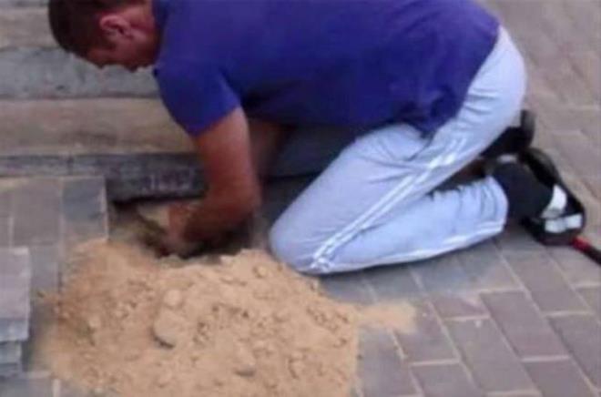 Hayvanseverin abas sonucunda kpek olduu yerden karld.