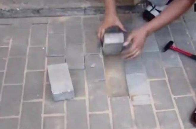 ki gn sonra ise kaldrmn hemen yanndaki apartmanda yaayan bir hayvansever olaya el atmaya karar verdi.