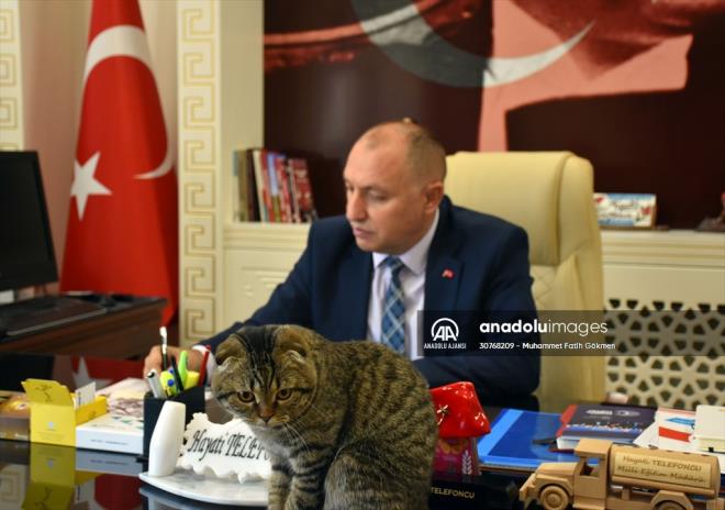 Personel tarafndan bakm yaplan ve daha ok MEBBS biriminde kald iin "Mebbis" ad verilen kediyi, hafta sonlar gnll personel evine gtryor.