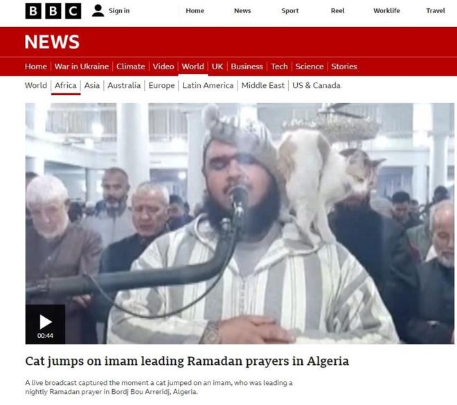 Namaz srasnda mamn zerine kan kedi grntleri dnya basnnn da ilgisini ekti.    Haber, BBC, CNN ve Reuters gibi internet sitelerinde yer ald.