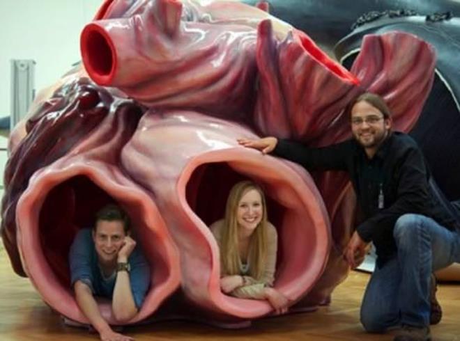 A��rl��� 600 kilogram� bulabilen bir mavi balinan�n kalp damarlar�n�n i�ine bir insan girebilir.