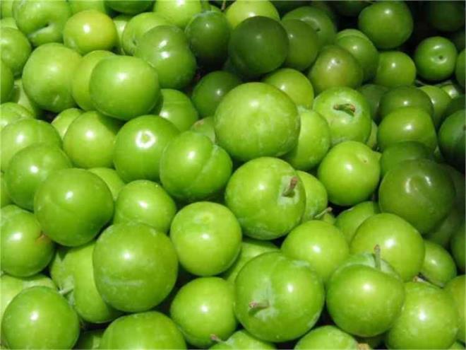 Eriin faydalar say say bitmez ancak erii tuzla yiyenlere bir kt haberimiz var...