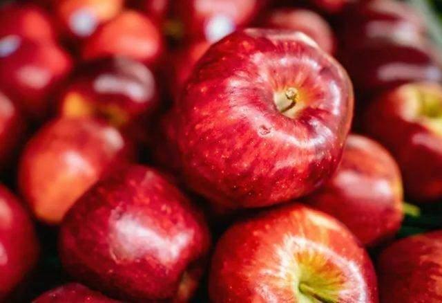 "Meyve tabii ki tketin ama mesela kurtlu elma tketin. lasz olacak. nk kurtlar sizden bizden aklldr. lal olan stnde tarm zehri olan hibir eyi kurtlar yemez. Siz kurtlu elma tketebilirsiniz ama srdnz zaman dikkat edin kurdun yars elmada kalmasn!"