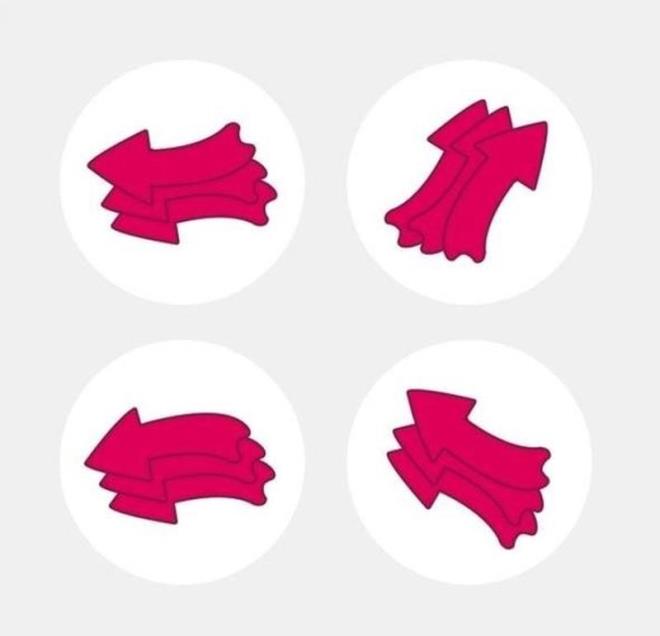 7. Dierlerinden farkl olan bulun.