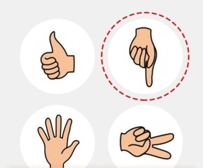 2. Dier  sa el iken daire iindeki sol eldir.