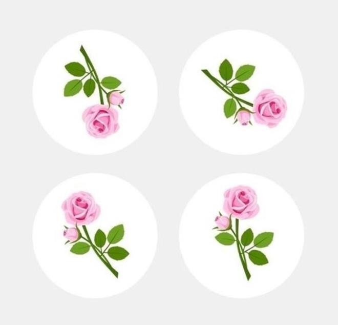 4. Dierlerinden farkl gl bulun.