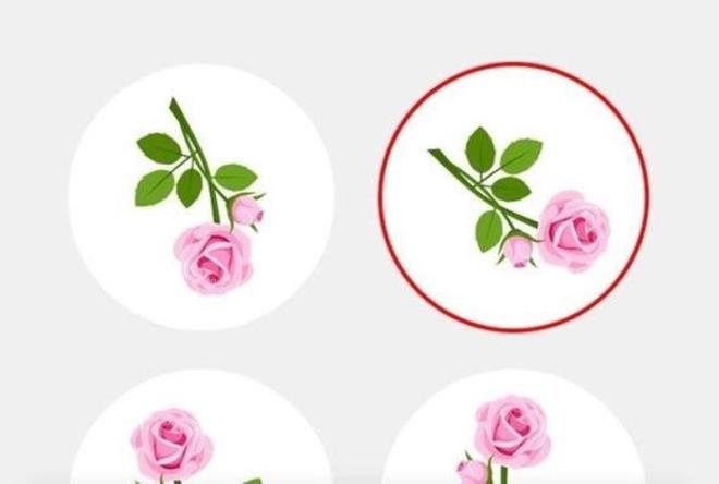 4. Daire iindeki gl dier 3 gl eklinin aynada yansmas gibidir.