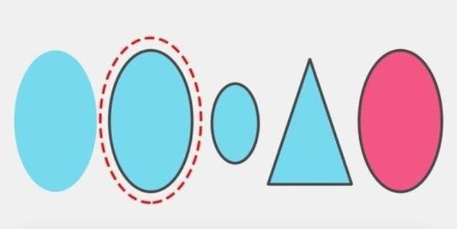 3. Daire iindeki ekil hem sol bataki hem de sa batakiyle benzerlik tar. Dierleri gibi zel bir karakteristii yoktur.