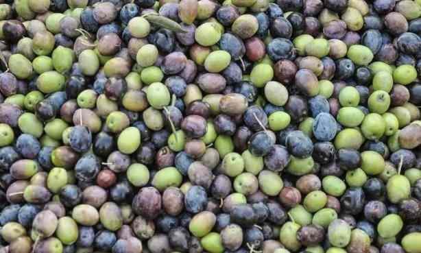 Bir de stne amar sular, bulak sular, yzey temizleyiciler...