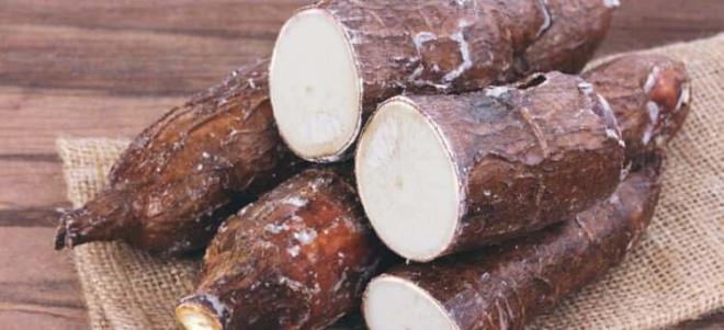 Manyok, gelimekte olan dnyada yarm milyardan fazla insan iin temel bir diyet salayan nemli bir besindir.