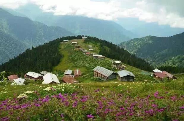 Nide - 99 bin 693 kii  <br>    Ordu - 525 bin 681 kii  <br>  Rize- 308 bin 439 kii    <br>    Sakarya - 135 bin 44 kii  <br>    Samsun - 426 bin 500 kii  <br>    Siirt - 252 bin 954 kii  <br>    Sinop- 374 bin 903 kii  <br>  Sivas - 767 bin 428 kii    <br>    Tekirda - 113 bin 222 kii