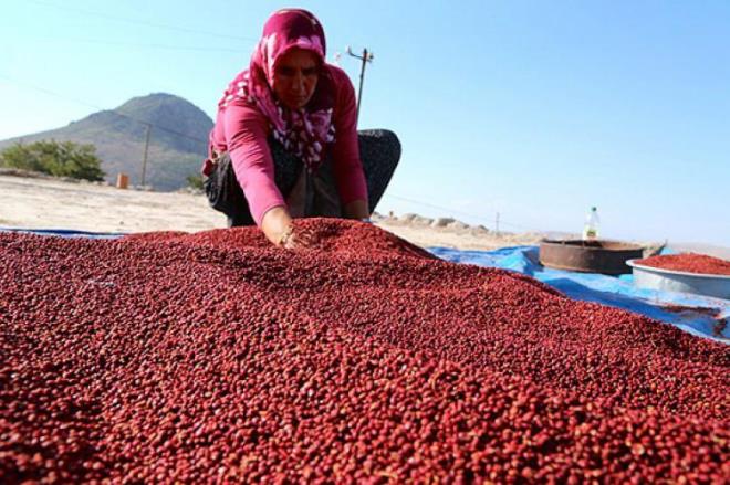 Kendine zel bir aromas olan sumak bitkisinin suyu da olduka faydaldr. Salk asndan tketilmesi gereken sumak suyundan alternatif tp alannda da sklkla yararlanlr.