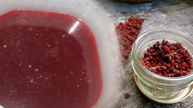 -Kalbi destekler.  <br>  -Karacieri korur. Sindirimi dzenler.  <br>  -Sumak gl bir diretiktir. Bunun anlam vcutta idrar sktrc etki gstermesidir. Yol at bu etki sayesinde sumak, idrar yolu enfeksiyonlarndan korunmaya yardmc olurken yksek tansiyonun drlmesini salar.