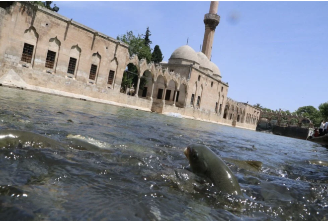 Tahliye ve temizleme almalar ile suyun yeniden berrak halini ald Balklgl'de, anlurfa Valilii, Bykehir Belediyesi ve Kltr Varlklarn Koruma Blge Kurulu tarafndan balatlan glendirme ve restorasyon almalar, hayatn normale dnmesiyle hzland.