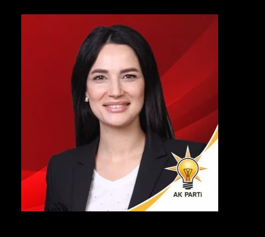 Seda Sarba (AKP) Aydn'dan aday olmutu. AKP ehirde 3 milletvekili kard. Arba MEclis'e giren nllerden.