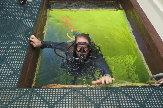 SU ALTI OTELNDE YAIYOR    Deniz Kaynaklar Gelitirme Vakfnn organize ettii "Project Neptune 100" adl su alt grevi kapsamnda Dituri, Florida'da 9 metre derinliindeki bir lagnn dibinde yer alan; Jules Undersea Lodge ad verilen bir eit su alt otelinde yayor.