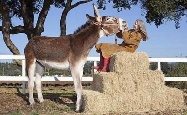 D�nyan�n en b�y�k e�e�i tam 173cmn uzunlu�unda