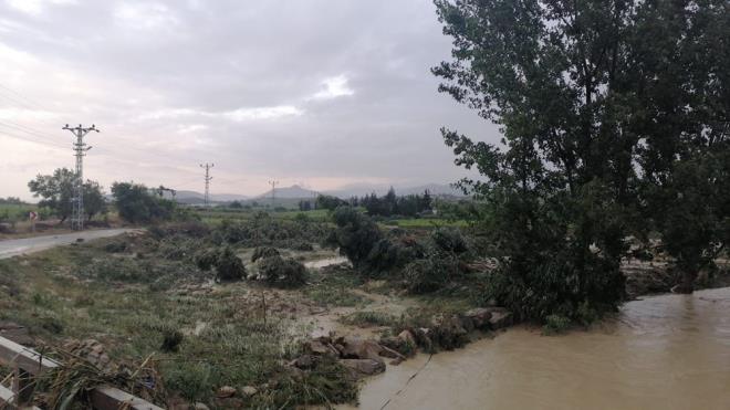 TARSUS'TA TARIM ALANLARI SULAR ALTINDA    Tarsus ilesinde de ev ve i yerleri saanaktan etkilendi, Nacarl Mahallesi'nde tarm arazilerinin bir ksmnda su basknlar meydana geldi.