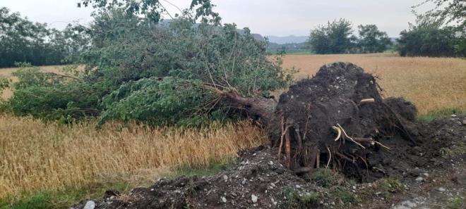 Kuvvetli ya ve frtna, zellikle krsal mahalleleri vurdu. Sakarcalk kynde yollar kapand, kanallar tat, aalar ykld.