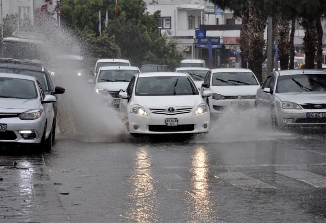 amurlu sularn dkld yerlerde denizin rengi kahverengiye dnd.