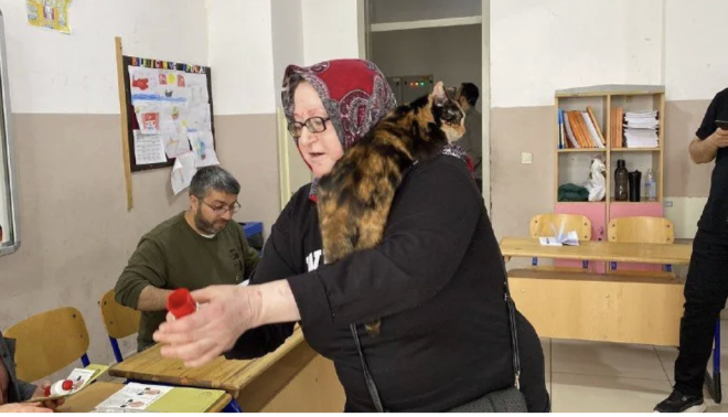 Dzce'de yaayan Mesine Beer, kedisi Tyl'y omzuna alarak Trkiye Odalar ve Borsalar Birlii lkokulu'nda oy kullanmaya geldi.