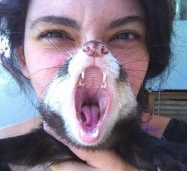 Kafa kar��t�ran kareler