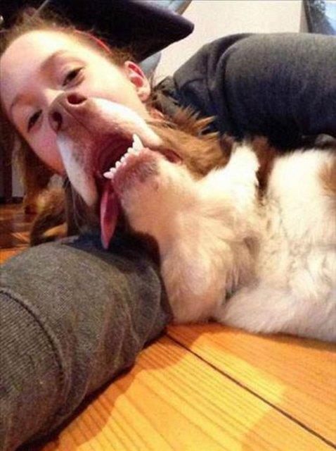 Kafa kar��t�ran kareler