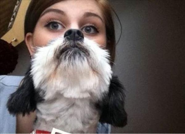 Kafa kar��t�ran kareler