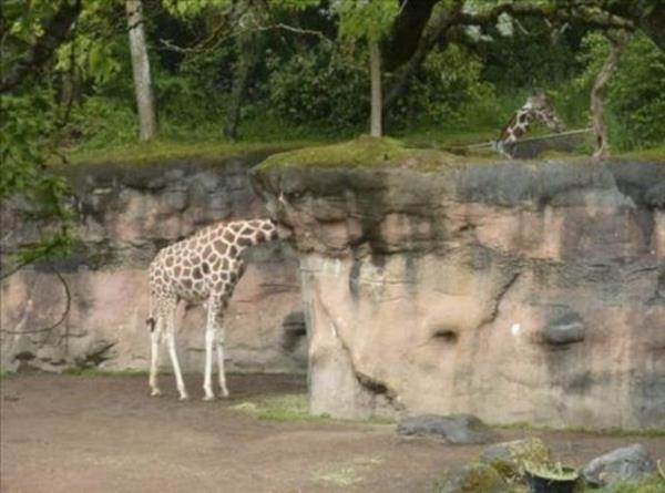 Kafa kar��t�ran kareler