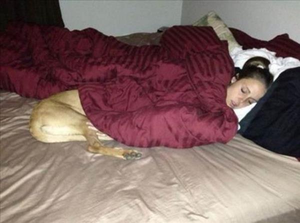 Kafa kar��t�ran kareler