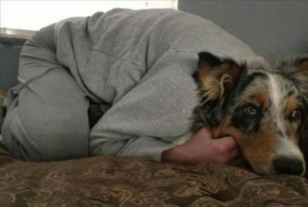 Kafa kar��t�ran kareler