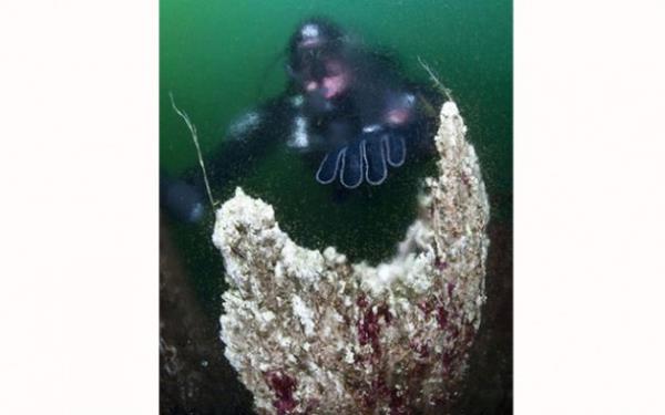 60 metre dibe inen foto�raf�� Kuzey Amerika ve Avrasya k�ta plakalar�n�n ayr�lmas�n� g�r�nt�ledi.