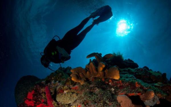 Foto�raflar, ana karalar�n her y�l birka� santimetre ayr��t���n�, adeta d�nyan�n ortadan ikiye ayr�ld���n� g�steriyor.