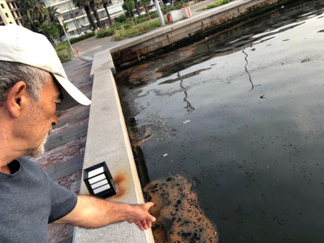 "DOAL, BYOLOJK BR OLAY DELDR"    Bu tr alglerin ar oalp, ortamda oluturduu rtnn oksijen miktarn azalttn aklayan Dr. Kesici, "Bu durum bulankla, ortamdaki biyokimyasal reaksiyonlarn artmasna yol aar. Inlarn dip kesime ulamasn engelleyerek, dip amurundaki bakterilemeyi artrr. Bu olumsuzluklar, toksik etkileri ile deniz ekosistemindeki biyolojik eitliliin azalmasna neden olur. zmir Krfezi'nde sklkla meydana gelen durum, doal, biyolojik bir olay deildir" diye konutu.    zmir Krfezi'nin ok hassas dengeye sahip olduuna dikkati eken Dr. Kesici, "zenle, geici deil; bilimsel zm yollar ile korunmas, kullanlmas gerekir. Krfez, kltrel kirliliin ok youn basks altnda. Yazn krfezde yaam byk oranda etkileyen koku ve grnt kirlilii, deniz marullarnn ar artnn etkisi, kirlilik gstergesi olan alg patlamas gelip, geici grlmemeli ve de gz ard edilmemeli. Bunlar, denizin kirlenmesinin belirtisi olarak bilinir. Daha da kts; belli sre sonra dalan bu kme cisimler dibe kerek, paralanmak iin deniz suyundaki oksijeni tketecek, bu srada oksijensiz kalan canllarda toplu veya ksmi lmler grlebilecektir" dedi.