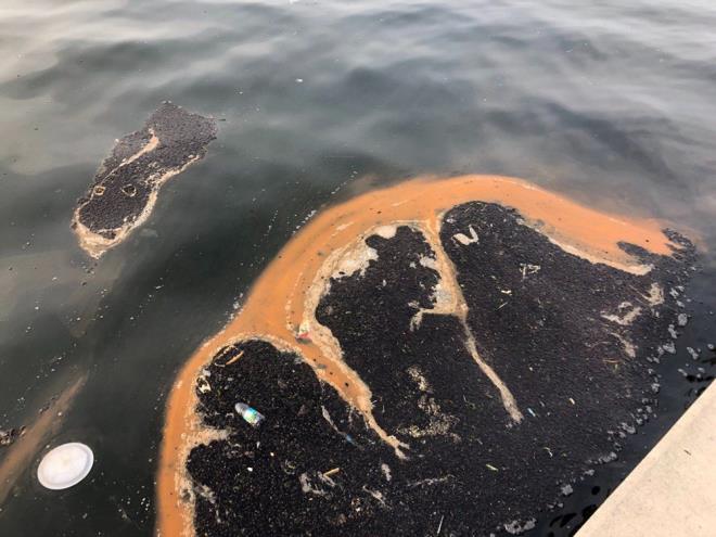 zmir Krfezi'ndeki dip amuruna da dikkati eken Dr. Kesici, yle konutu:  <br>  "Yalar ile yine kltrel kirlilik deimiz krfez etrafndaki bina ve dier kirletici unsurlarn ok youn olmasyla krfezdeki dip amuru da giderek oalmaktadr. Her yl mutlaka zmir Krfezi'nde dip amurunun temizliine devam edilmelidir. zmir'de bal bana sorun olan deniz marulu da sz konusu. Bu da yine kirlilik nedeniyle oluur. Deniz marulu ve bu algler birletiinde krfezde msilaja sebep olabilir. u anda grnen durum zaten msilajn belirtileri. Bunun ar ekilde devam etmesi, nlem alnmamas kirlilik asndan ok tehlikeli. Bunlarn yzeyden toplanmas yeterli deil; deniz dip amuru da temizlenmeli."