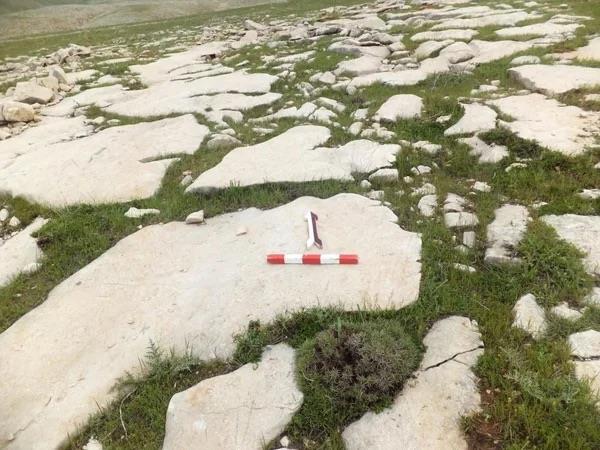 Boyutlar yer yer 1 metreyi aan yar ilenmi kaya bloklarnn oluturduu yol zemininde, eimli yerlerin dzgnletirildii ve dere yataklar gibi gerekli grlen yerlere ykseklii 1 metreyi bulan harsz ta rgl kprlerle ulamn saland anlalyor.