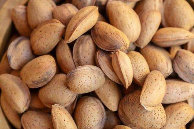 Badem daha ok Trkiye, ran, Suudi Arabistan, Lbnan, Suriye, rdn ve srail gibi lman iklimlerin olduu lkelerde yetiir. Tatl ve ac badem olarak ikiye ayrlr. Ac badem badem ya, yemeklere lezzet katmak iin kullanlmaktadr. Tatl badem ise genelde i olarak tketimektedir.