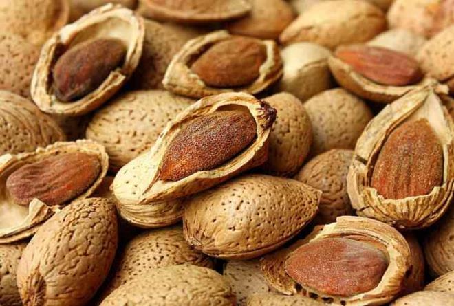 Badem yemek krmz kan hcrelerinde yer alan E vitamini seviyesini artrarak kolesterol riskini azaltmaktadr. E vitamini ve antioksidanlar ayn zamanda vcutta oksidatif hasar nlemeye yardmc olmaktadr. Badem, kalp salna fayda salayan lipid ve ya seviyelerini iyiletirmede etkilidir.