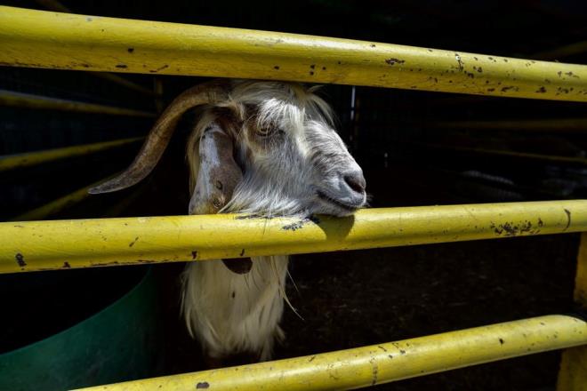 KURBAN BAYRAMI TAKVM  <br>  Kurban Bayram Arifesi- 27 Haziran Sal  <br>  Kurban Bayram 1. Gn - 28 Haziran aramba  <br>  Kurban Bayram 2.Gn- 29 Haziran Perembe  <br>  Kurban Bayram 3.Gn- 30 Haziran Cuma  <br>  Kurban Bayram 4. Gn- 1 Temmuz Cumartesi