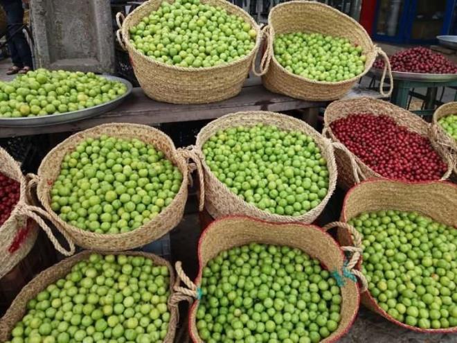 Fosfor asndan olduka zengin olan erik,vcudun demir emme kabiliyetini artryor ve kan dolamn da iyiletiriyor.    Cilt tonunu eitlemesiyle bilinen yeil erik,cildi yeniliyorve lekelerin ortadan kalkmasna yardmc oluyor.