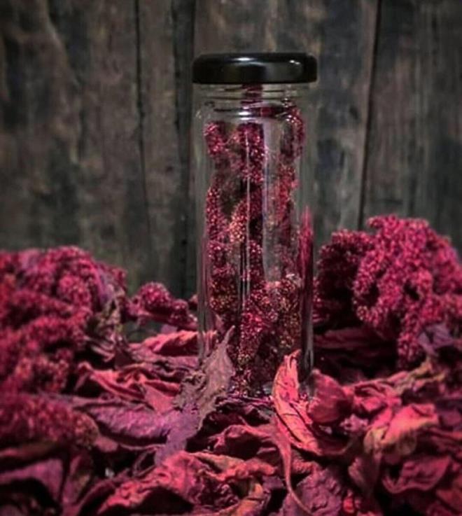 Aztek ve Maya uygarl�klar�nda �ifa kayna�� olarak kullan�ld��� bilinen ve "�l�ms�zl�k bitkisi" olarak nitelendirilen amarant bitkisi hayvanlara yem olarak kullan�lmas�n�n yan�nda un ve �ay� ile de ��lyak hastalar�n�n kullan�m�na sunuluyor. V�cutta ins�lin oran�n� dengeledi�i de bilinen amarant bitkisinin susuz ortamda yeti�mesiyle kurakl�k d�neminde hayvanc�l��a katk� sunmas� hedefleniyor.