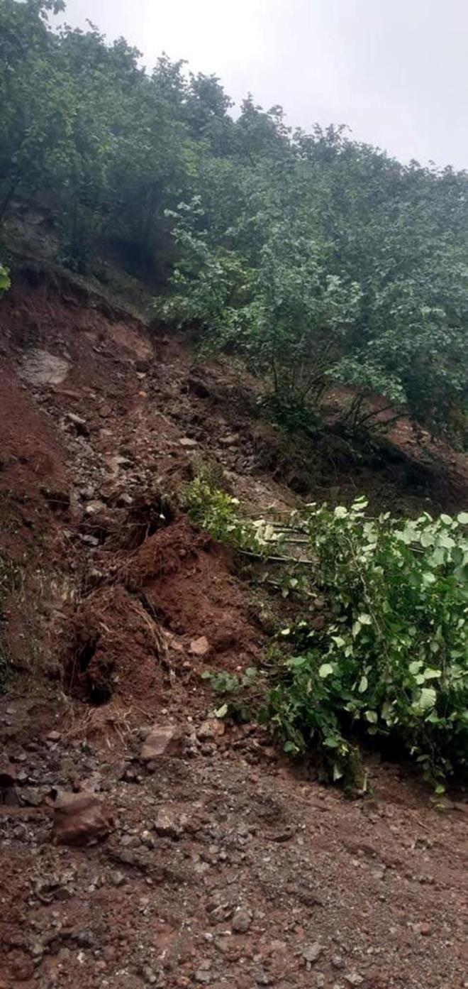 Heyelan sebebiyle kydeki fndk baheleri de zarar grd.