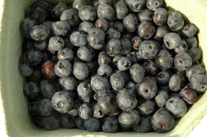 Beslenme dzeni salmz iin olduka nemli. Bilhassa dzenli bir ekilde meyve ve sebze yemek pek ok hastaln nne geebiliyor. Bir takm gdalarn salk iin faydalar saymakla bitmiyor. Nadir tketilmeyen yaban mersini de bu gdalardan biri... Yaban mersininin yararlarn duyanlar ok aryor. Kanserden tansiyona pek ok hastaln ifas onda. te yaban mersinin faydalar...