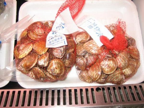 18. Kabuklu deniz rnleri