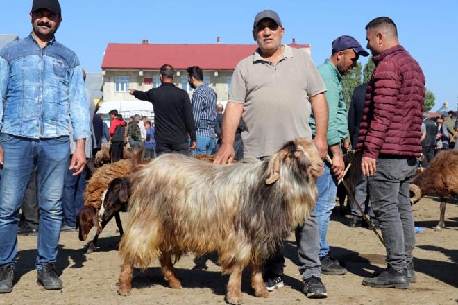 Hayvanlarn satmak isteyen besiciler ile btelerine uygun kurbanlk almak isteyen vatandalar arasnda zaman zaman sk pazarlklar yaanyor.
