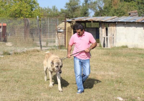 En iyi ekilde bakyorum. evremden ve her ilden geliyorlar. stanbuldan i adamlar 40 bin lira teklif etti 100 bin lira da verseler hayvanm satmam' diye konutu.