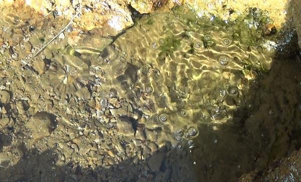 Maden suyu imeye gelen vatandalardan Erkan Olcay, ?Bu maden suyu birok hastala ifa, zellikle bbrek talarna, ayak mantarlarna ifal olduu syleniyor. Biz de ylda 4-5 defa gelip hem eve gtryoruz hem de burada kaynan banda iiyoruz. Magnezyum kalitesi yksek bir maden suyu, defalarca iiyoruz herhangi bir ime falan yapmyor, gayet gzel. nallah ienlere ifa olur? dedi.