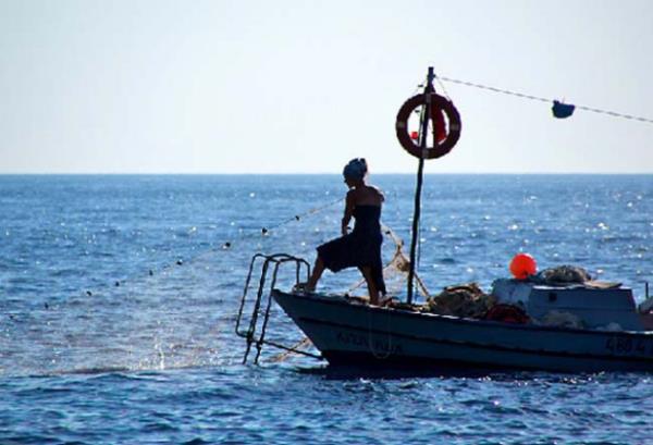 Fethiye ldeniz&#8242;deki Faralya ky-Faralya, bu devirde bile asmayla kapl dkkanlarn sahiplerinin size pide ve orba ikram edebilecekleri sade, sevimli bir ky. Burada kalabileceiniz mekanlarn ou basit ve ucuz pansiyonlar olsa da kyde birka tane haval butik otel de var.